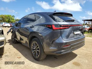 2024 Lexus NX 250 Premium with VIN JTJGDCAZ8R2010534, listed as a Copart auction lot 63456295 with Not provided miles and Non repairable. Bid and sale history available at DreamBid. Image 2.