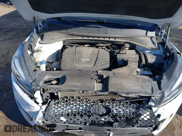 2017 Kia Sorento EX V6 with VIN 5XYPH4A56HG222220, listed as a IAAI auction lot 41330218 with 189,235 mi miles. Bid and sale history available at carsss.com. Image 10.