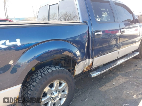 2013 Ford F-150 XL with VIN 1FTFW1ET1DFD46837, listed as a IAAI auction lot 42017411 with 120,023 mi miles. Bid and sale history available at carsss.com. Image 6.