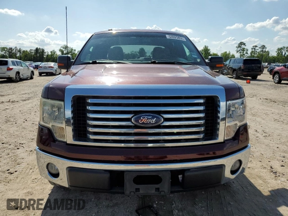 2010 Ford F-150 XL with VIN 1FTEW1C87AFD03660, listed as a Copart auction lot 53925855 with 252,174 mi miles and Clean Title. Bid and sale history available at DreamBid. Image 5.