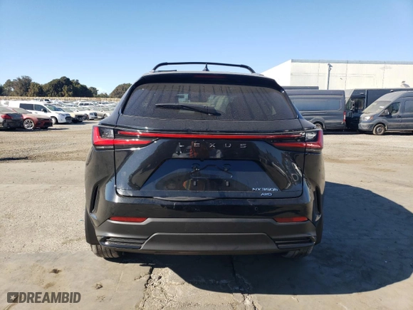 2025 Lexus NX with VIN JTJGKCEZ4S2045609, listed as a Copart auction lot 77131914 with 0 mi miles and Salvage Title. Bid and sale history available at carsss.com. Image 6.