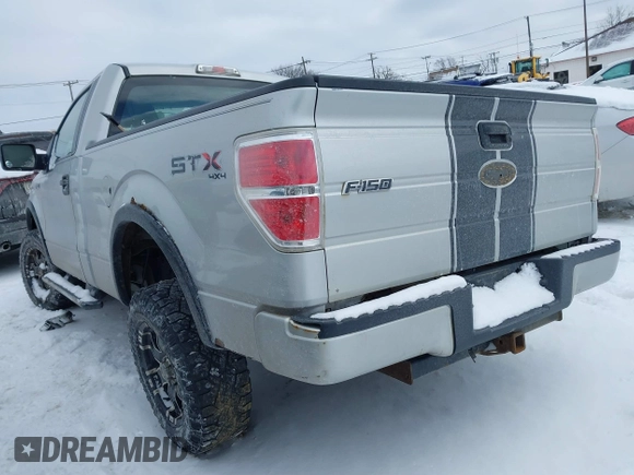 2009 Ford F-150 XL with VIN 1FTRF14W49KB67005, listed as a IAAI auction lot 41623967 with 197,731 mi miles and . Bid and sale history available at DreamBid. Image 3.