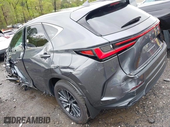 2024 Lexus NX 250 с VIN 2T2ADCAZ5RC006589, выставлен на аукционе IAAI как лот 41975513 с пробегом Не указан миль и . История ставок и продаж доступна на DreamBid. Изображение 3.