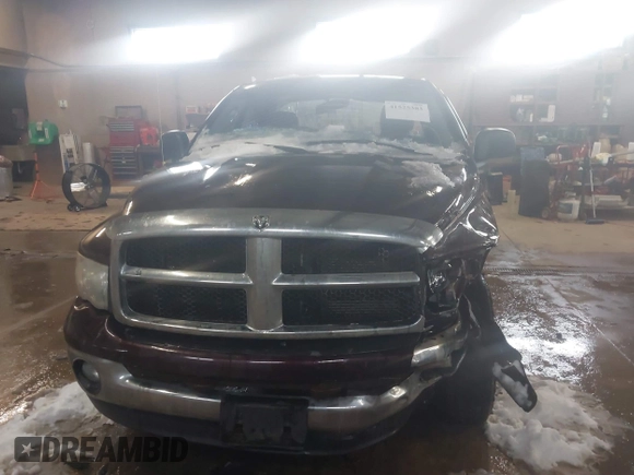 2004 Dodge 1500 SLT with VIN 1D7HU18D34J164093, listed as a IAAI auction lot 41525383 with 196,062 mi miles and . Bid and sale history available at DreamBid. Image 12.
