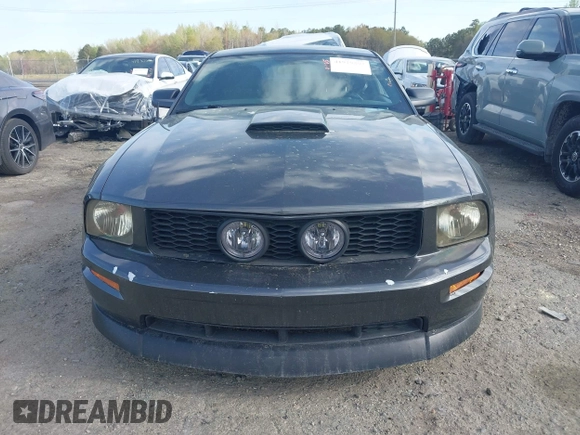 2008 Ford Mustang GT Deluxe with VIN 1ZVHT82H085115446, listed as a IAAI auction lot 41919292 with 130,757 mi miles and . Bid and sale history available at carsss.com. Image 12.