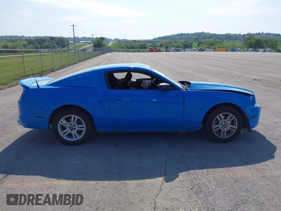 2014 Ford Mustang V6 с VIN 1ZVBP8AM5E5250006, выставлен на аукционе IAAI как лот 42253136 с пробегом Не указан миль и . История ставок и продаж доступна на DreamBid. Изображение 14.