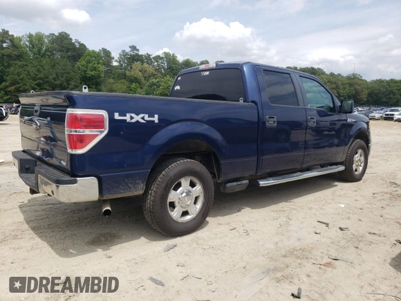 2010 Ford F-150 XL with VIN 1FTFW1EV8AFD94459, listed as a Copart auction lot 60367055 with 177,775 mi miles and Salvage title. Bid and sale history available at DreamBid. Image 3.