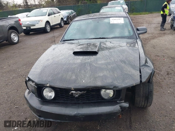 2008 Ford Mustang GT Deluxe with VIN 1ZVHT82HX85117723, listed as a IAAI auction lot 42015967 with 120,406 mi miles and . Bid and sale history available at carsss.com. Image 12.