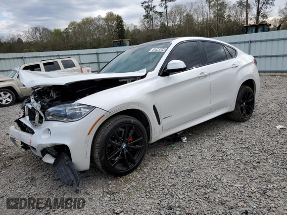 2019 BMW X6 xDrive35i with VIN 5UXKU2C5XK0Z63666, listed as a Copart auction lot 44423703 with 50,800 mi miles. Bid and sale history available at carsss.com. Image 1.