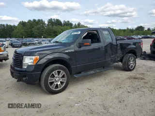 2014 Ford F-150 XL with VIN 1FTEX1EM8EFB80058, listed as a Copart auction lot 59417095 with 202,509 mi miles and Clean title. Bid and sale history available at DreamBid. Image 1.