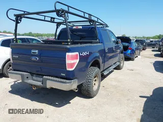 2010 Ford F-150 XL with VIN 1FTFW1EV7AFC16235, listed as a IAAI auction lot 42095558 with 285,440 mi miles and . Bid and sale history available at DreamBid. Image 4.