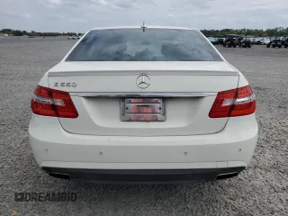 2010 Mercedes-Benz E 550 Luxury with VIN WDDHF7CB3AA134560, listed as a Copart auction lot 48516615 with 165,533 mi miles and Salvage Title. Bid and sale history available at DreamBid. Image 6.