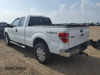 2013 Ford F-150 XL z VIN 1FTFX1ET4DFA51423, wystawiony jako Copart lot #65531255 z przebiegiem 266 223 mil mil oraz Czysty tytuł • Clean title. Historia ofert i sprzedaży dostępna na DreamBid. Obrazek 2.