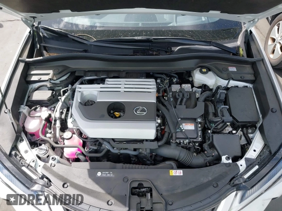 2024 Lexus UX 250h Premium with VIN JTHP9JBH3R2077751, listed as a IAAI auction lot 41943549 with 3,497 mi miles and . Bid and sale history available at DreamBid. Image 10.