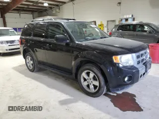 2011 Ford Escape Limited with VIN 1FMCU9EG7BKA53387, listed as a Copart auction lot 46256845 with 176,442 mi miles and Salvage Title. Bid and sale history available at DreamBid. Image 4.