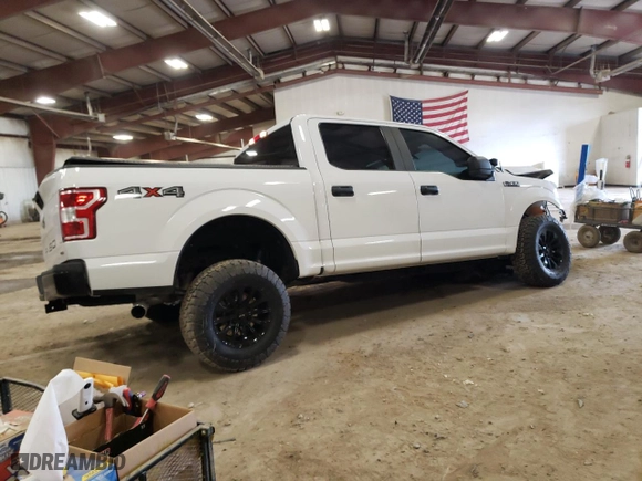 2019 Ford F-150 XL with VIN 1FTEW1EP4KKF08687, listed as a Copart auction lot 51903035 with 54,083 mi miles and Clean Title. Bid and sale history available at carsss.com. Image 3.