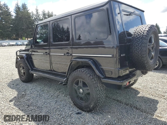 2004 Mercedes-Benz G with VIN WDCYR46E74X144672, listed as a Copart auction lot 55212454 with 143,994 mi miles and Salvage Title. Bid and sale history available at DreamBid. Image 2.