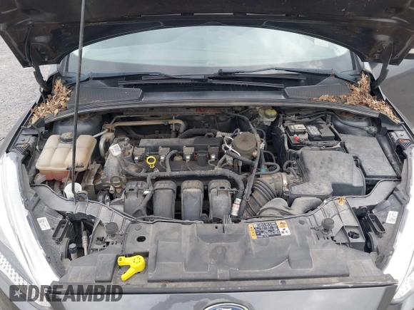 2016 Ford Focus SE with VIN 1FADP3F2XGL280855, listed as a IAAI auction lot 40380378 with 173,877 mi miles and . Bid and sale history available at carsss.com. Image 10.