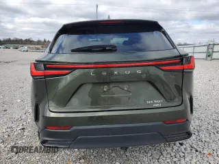 2024 Lexus NX with VIN 2T2AGCEZ0RC053644, listed as a Copart auction lot 49308185 with 21,010 mi miles and Salvage Title. Bid and sale history available at carsss.com. Image 6.