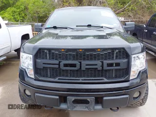 2010 Ford F-150 XL with VIN 1FTEX1EW1AFB90443, listed as a IAAI auction lot 41955720 with 184,104 mi miles. Bid and sale history available at carsss.com. Image 6.