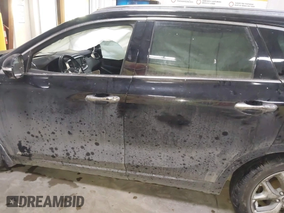 2019 Kia Sorento SX V6 with VIN 5XYPKDA55KG511727, listed as a IAAI auction lot 41531770 with 99,237 mi miles. Bid and sale history available at carsss.com. Image 15.