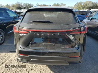 2025 Lexus NX with VIN 2T2GDCAZXSC019578, listed as a Copart auction lot 79953094 with 627 mi miles and Salvage Title. Bid and sale history available at carsss.com. Image 6.