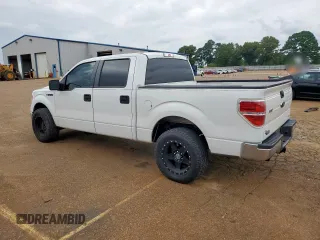 2013 Ford F-150 XL with VIN 1FTEW1CM7DKD94874, listed as a Copart auction lot 63659855 with 227,648 mi miles and Salvage title. Bid and sale history available at DreamBid. Image 2.
