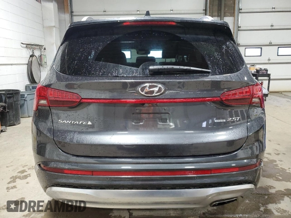 2023 Hyundai Santa Fe Calligraphy with VIN 5NMS5DAL6PH511782, listed as a Copart auction lot 58000945 with 31,566 mi miles and Salvage title. Bid and sale history available at DreamBid. Image 6.