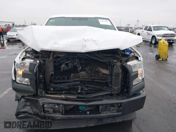2017 Ford F-150 XL with VIN 1FTEX1CGXHKD21009, listed as a IAAI auction lot 41473582 with 192,489 mi miles. Bid and sale history available at carsss.com. Image 6.