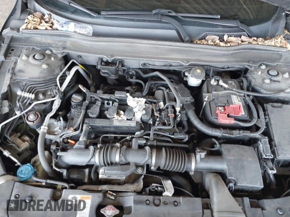 2019 Honda Accord Sport with VIN 1HGCV1F3XKA166546, listed as a IAAI auction lot 42216635 with 64,704 mi miles and . Bid and sale history available at DreamBid. Image 10.