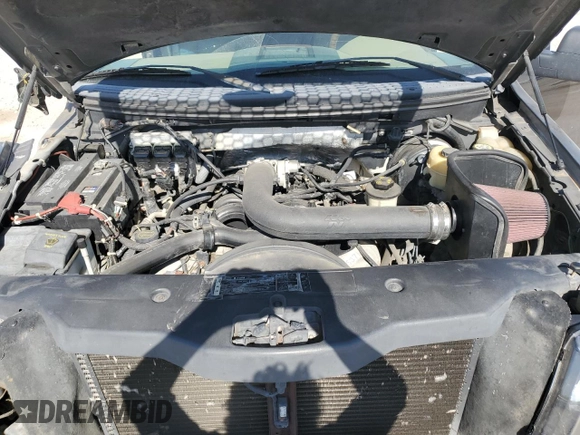 2007 Ford F-150 XLT with VIN 1FTPW14V77KC10974, listed as a Copart auction lot 52393455 with 167,297 mi miles and Salvage Title. Bid and sale history available at DreamBid. Image 12.