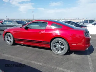 2013 Ford Mustang V6 with VIN 1ZVBP8AM1D5246288, listed as a IAAI auction lot 42024934 with 141,791 mi miles. Bid and sale history available at carsss.com. Image 14.