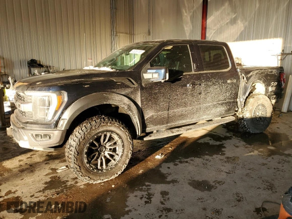 2022 Ford F-150 Raptor with VIN 1FTFW1RGXNFA87263, listed as a Copart auction lot 45265165 with 33,264 mi miles and Salvage Title. Bid and sale history available at carsss.com. Image 1.