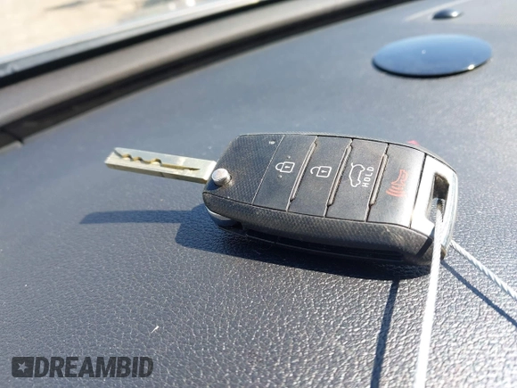 2016 Kia Sorento LX z VIN 5XYPGDA55GG110302, wystawiony jako IAAI lot #42045429 z przebiegiem 166 368 mil mil oraz . Historia ofert i sprzedaży dostępna na DreamBid. Obrazek 11.