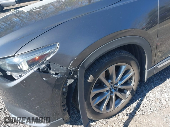 2019 Mazda CX-9 Grand Touring with VIN JM3TCBDY3K0307964, listed as a IAAI auction lot 41706594 with 170,596 mi miles and . Bid and sale history available at DreamBid. Image 6.