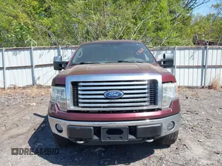 2010 Ford F-150 XL with VIN 1FTFX1EV6AFC58618, listed as a IAAI auction lot 42029696 with 128,258 mi miles. Bid and sale history available at carsss.com. Image 11.