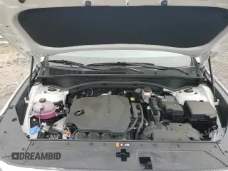 2023 Hyundai Santa Fe SEL z VIN 5NMS2DAJ7PH536729, wystawiony jako Copart lot #68830835 z przebiegiem 9 604 mil mil oraz Szkoda całkowita • Salvage title. Historia ofert i sprzedaży dostępna na DreamBid. Obrazek 16.