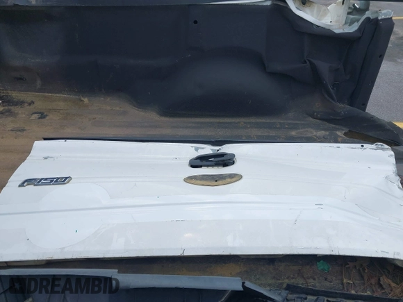 2010 Ford F-150 XL с VIN 1FTMF1CW0AKE21387, выставлен на аукционе IAAI как лот 42118390 с пробегом 231 861 миль миль и . История ставок и продаж доступна на DreamBid. Изображение 12.