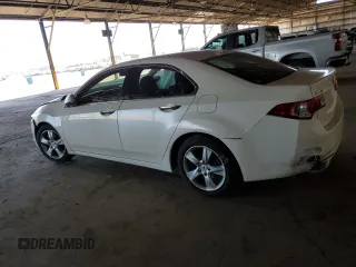 2010 Acura TSX with VIN JH4CU2F66AC015271, listed as a Copart auction lot 54620125 with 46,482 mi miles and Salvage Title. Bid and sale history available at carsss.com. Image 2.