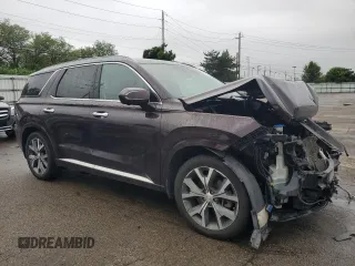 2020 Hyundai Palisade Limited with VIN KM8R5DHE0LU066511, listed as a Copart auction lot 58462025 with 97,295 mi miles and Salvage title. Bid and sale history available at DreamBid. Image 4.