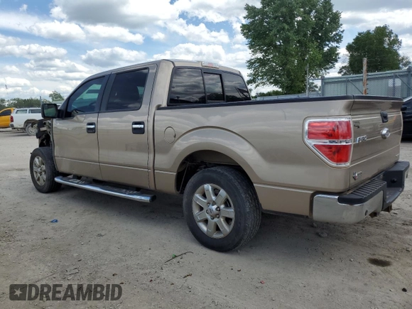 2013 Ford F-150 XL with VIN 1FTFW1CF7DKF03887, listed as a Copart auction lot 54058635 with 169,707 mi miles and Salvage title. Bid and sale history available at DreamBid. Image 2.