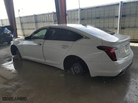 2023 Cadillac CT5 Premium Luxury with VIN 1G6DN5RW1P0117641, listed as a Copart auction lot 63809924 with 0 mi miles and Salvage Title. Bid and sale history available at carsss.com. Image 2.