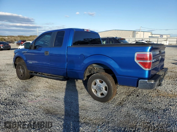 2011 Ford F-150 XL with VIN 1FTFX1CT9BFB94450, listed as a Copart auction lot 81144824 with 213,749 mi miles and Salvage Title. Bid and sale history available at carsss.com. Image 2.
