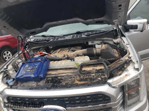 2021 Ford F-150 XL with VIN 1FTFW1ED6MFA84063, listed as a Copart auction lot 45989445 with Not Provided miles and Salvage Title. Bid and sale history available at carsss.com. Image 11.