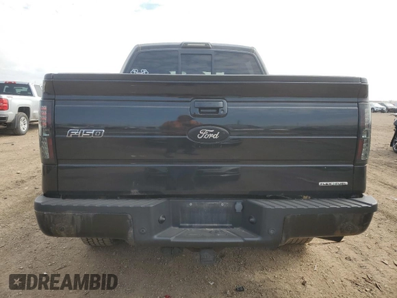 2011 Ford F-150 XL with VIN 1FTFW1EF5BKD29344, listed as a Copart auction lot 50380205 with 117,289 mi miles and Salvage Title. Bid and sale history available at DreamBid. Image 6.
