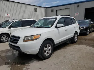 2007 Hyundai Santa Fe GLS z VIN 5NMSG13D27H092425, wystawiony jako Copart lot #58069465 z przebiegiem 165 803 mil mil oraz Szkoda całkowita • Salvage title. Historia ofert i sprzedaży dostępna na DreamBid. Obrazek 1.
