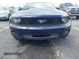 2010 Ford Mustang V6 with VIN 1ZVBP8AN6A5158017, listed as a IAAI auction lot 42005121 with 229,045 mi miles and . Bid and sale history available at DreamBid. Image 12.