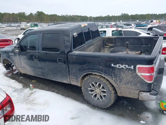 2010 Ford F-150 XL with VIN 1FTFW1EVXAFA74365, listed as a IAAI auction lot 41354493 with 196,559 mi miles. Bid and sale history available at carsss.com. Image 14.