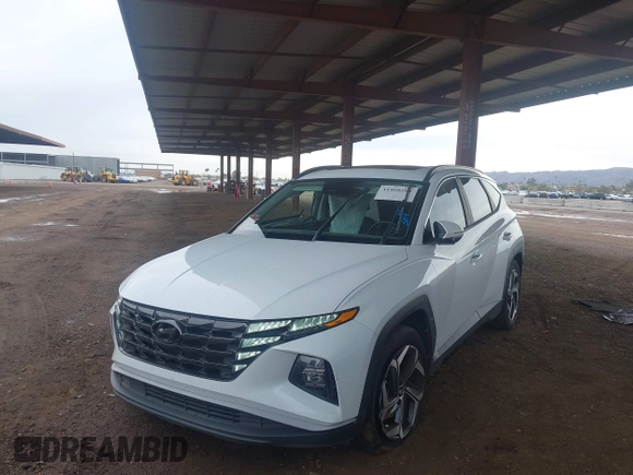 2022 Hyundai Tucson SEL with VIN 5NMJC3AE6NH060475, listed as a IAAI auction lot 41808281 with 94,694 mi miles and . Bid and sale history available at DreamBid. Image 18.