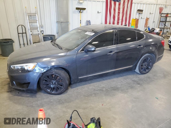 2014 Kia Cadenza Premium with VIN KNALN4D72E5156044, listed as a Copart auction lot 87613665 with 133,582 mi miles and Clean Title. Bid and sale history available at carsss.com. Image 1.